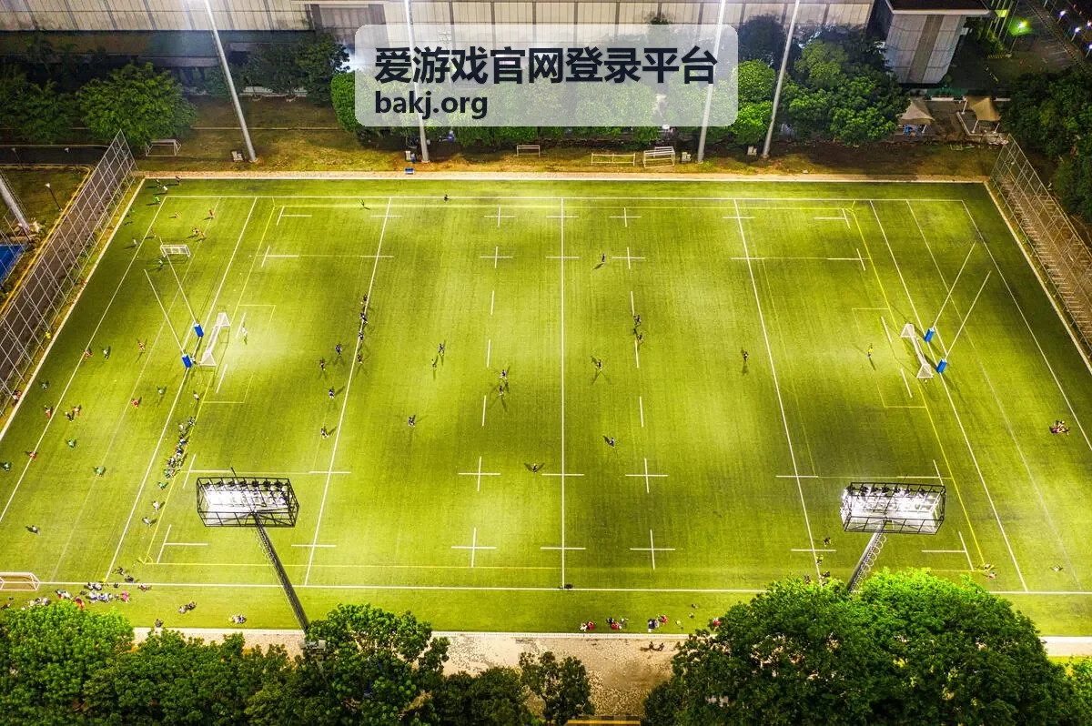 爱游戏官网登录平台 账号安全主题分享人